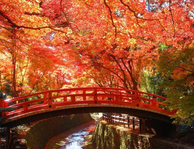 Guesthouse Iloha Kyoto Dış mekan fotoğraf