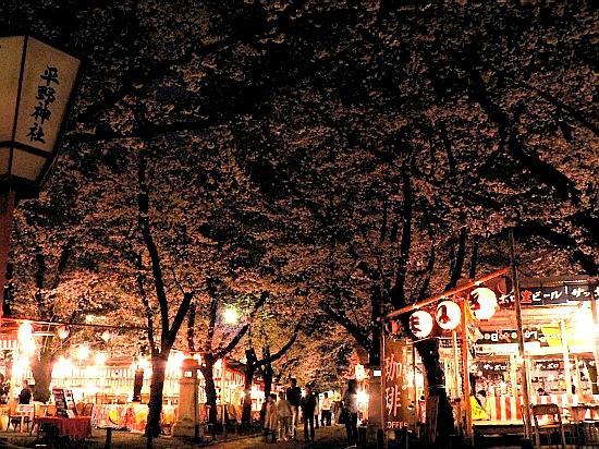 Guesthouse Iloha Kyoto Dış mekan fotoğraf